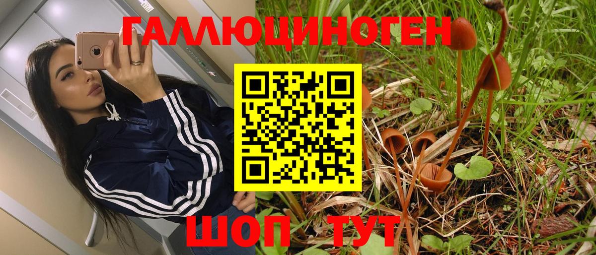 Псилоцибиновые грибы MAGIC MUSHROOMS  Вход с VPN  Анжеро-Судженск 