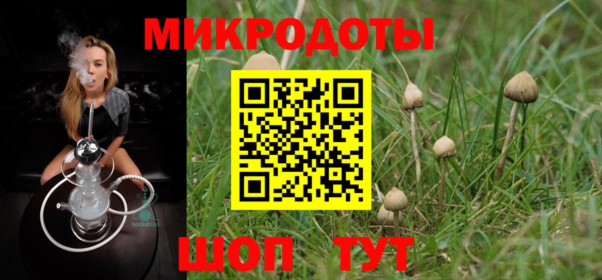Псилоцибиновые грибы прущие грибы Анжеро-Судженск